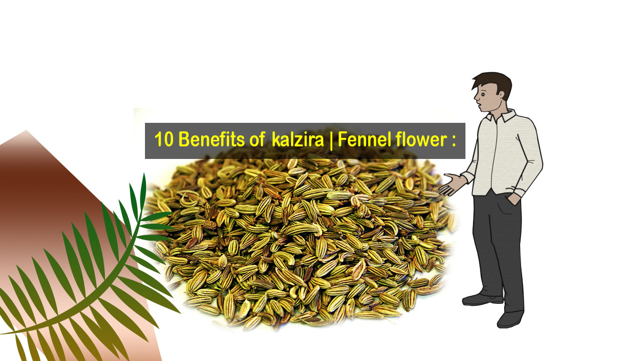 10 Benefits Of Kalzira Fennel Flower Faysal S Education Counsel