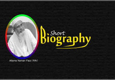 Allama Noman Faizi (RA:) | Biography