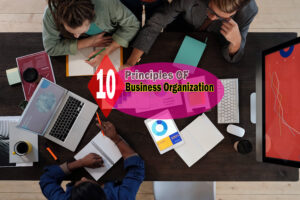 10 principles of business organization