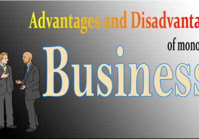 Advantages and disadvantages of monopoly business